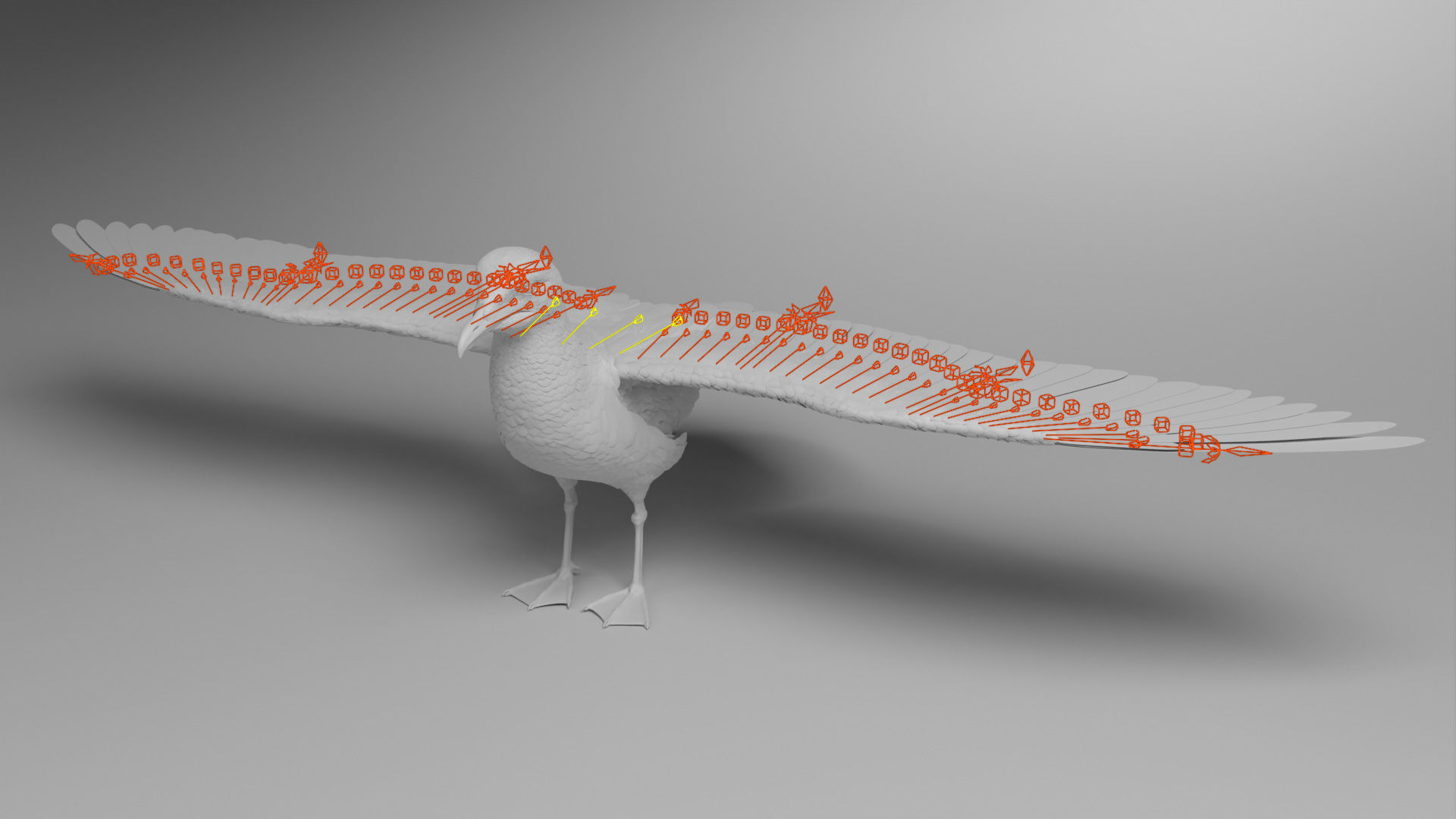 Seagull Animation - VFX Grace 3D model_20