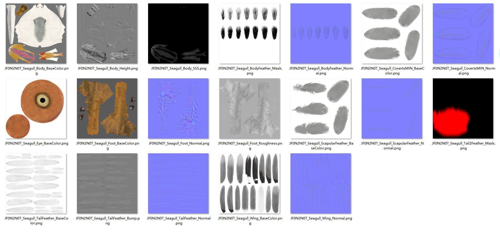Seagull Animation - VFX Grace 3D model_29