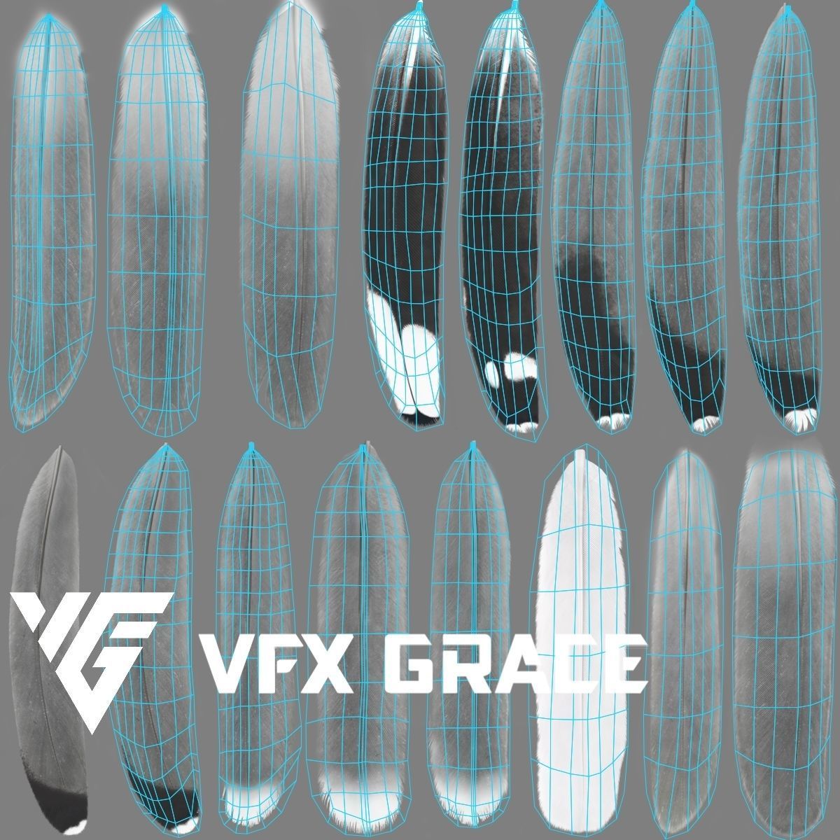 Seagull Animation - VFX Grace 3D model_27