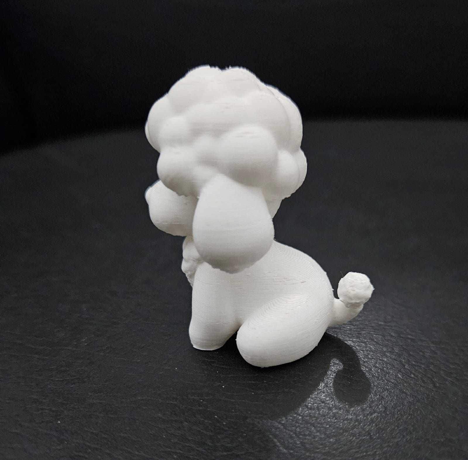 Little Poodle 3D print model_10