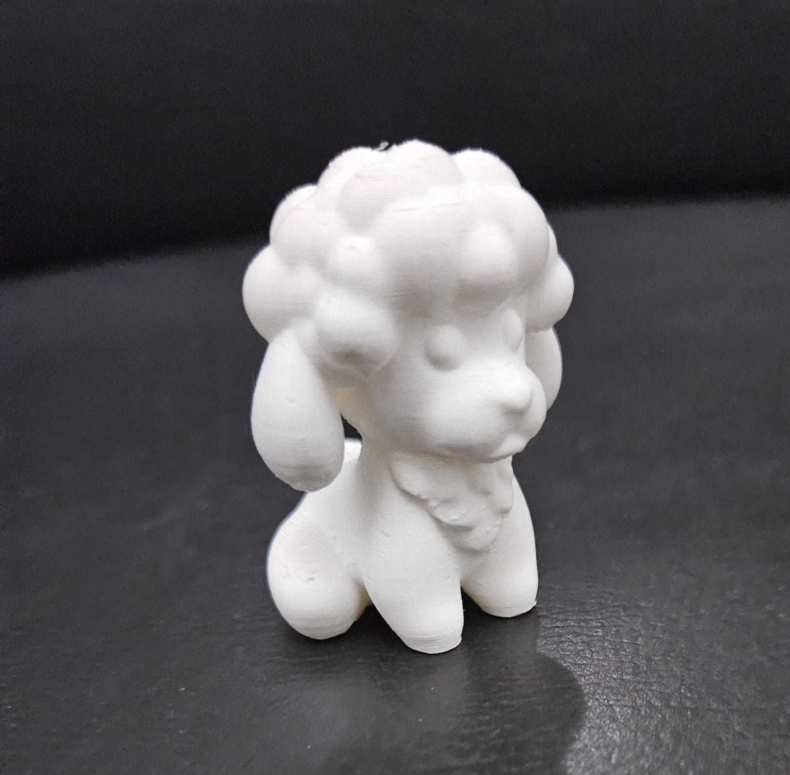Little Poodle 3D print model_5