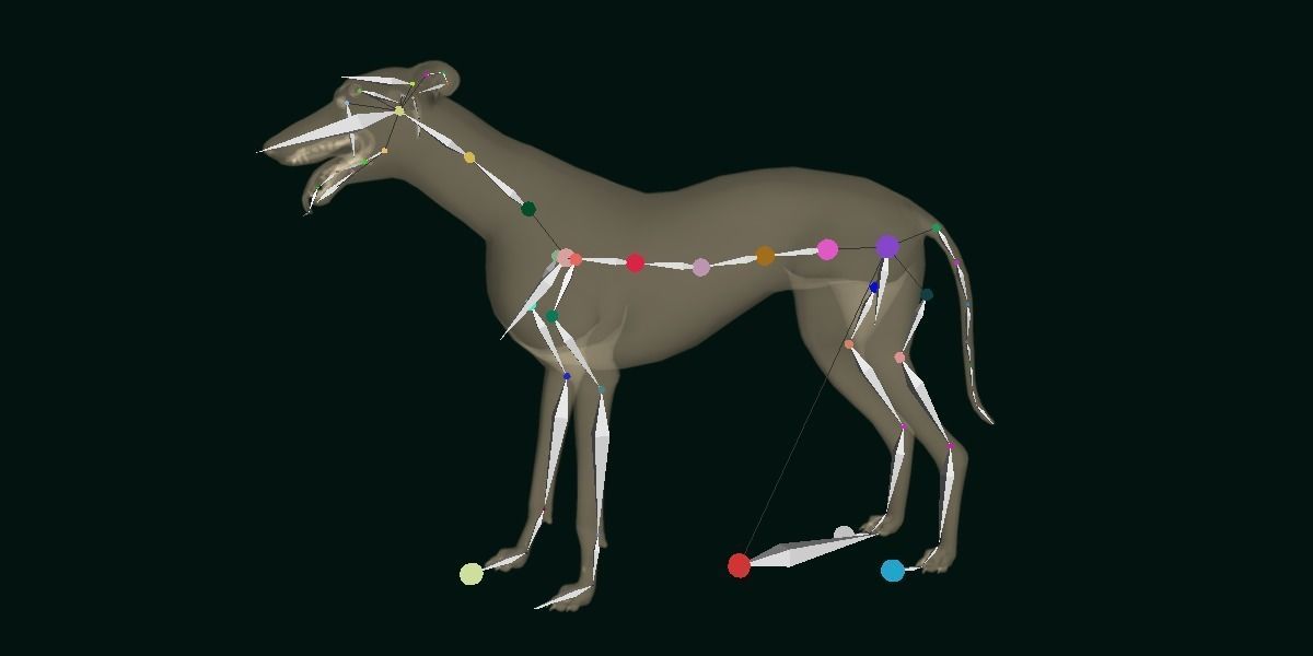 GreyHound Dog Breed Low-poly 3D model_13