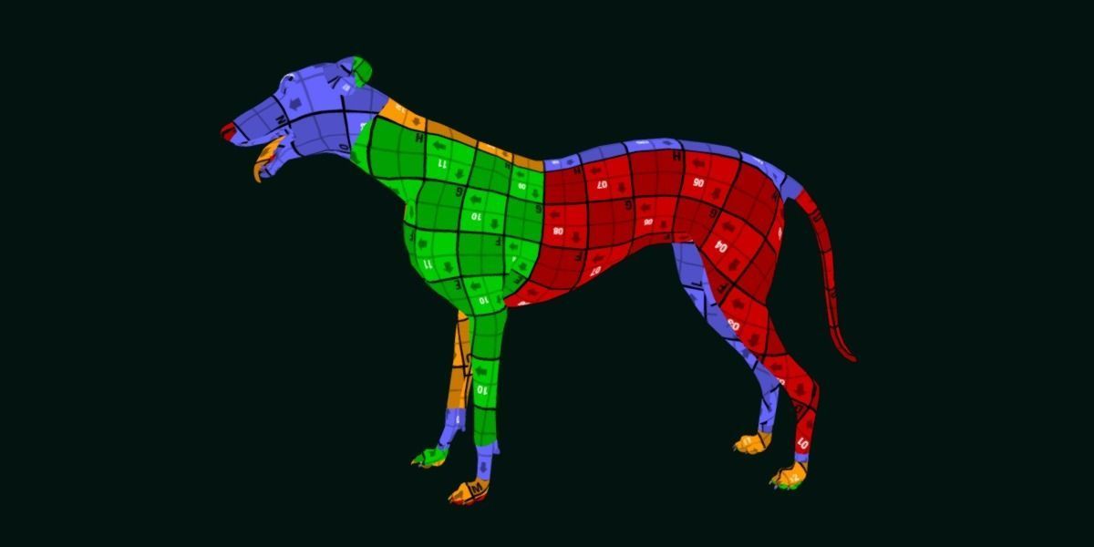 GreyHound Dog Breed Low-poly 3D model_8