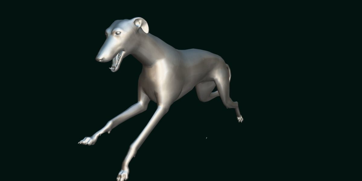 GreyHound Dog Breed Low-poly 3D model_4
