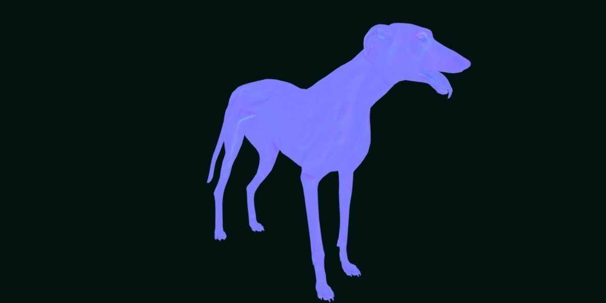 GreyHound Dog Breed Low-poly 3D model_17