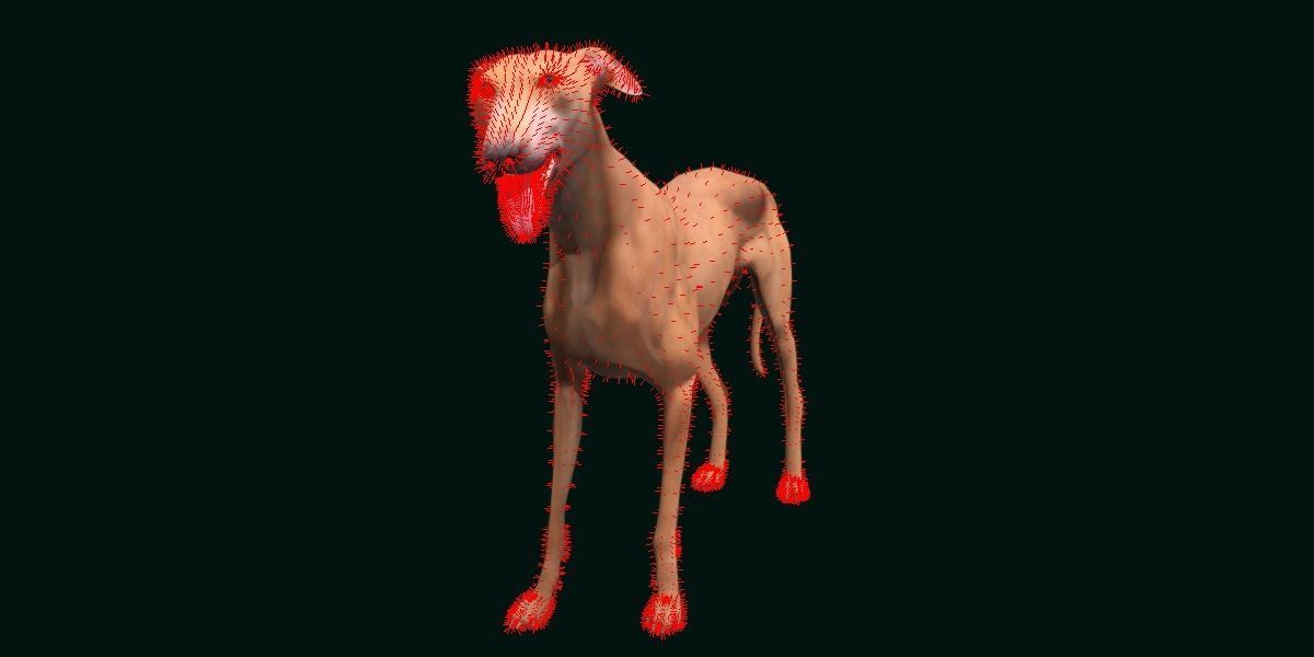 GreyHound Dog Breed Low-poly 3D model_7