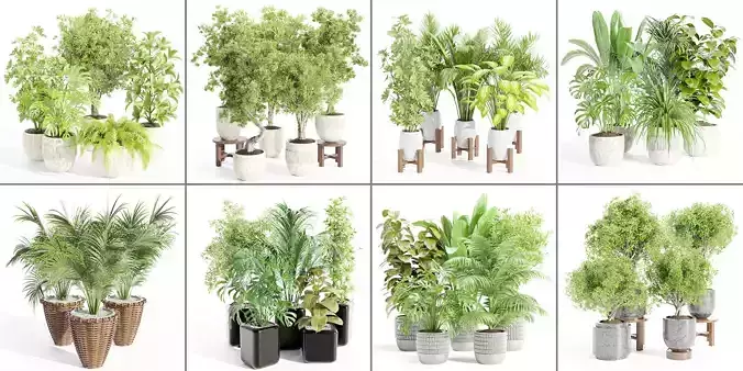 Plants in pots collection-Blender 