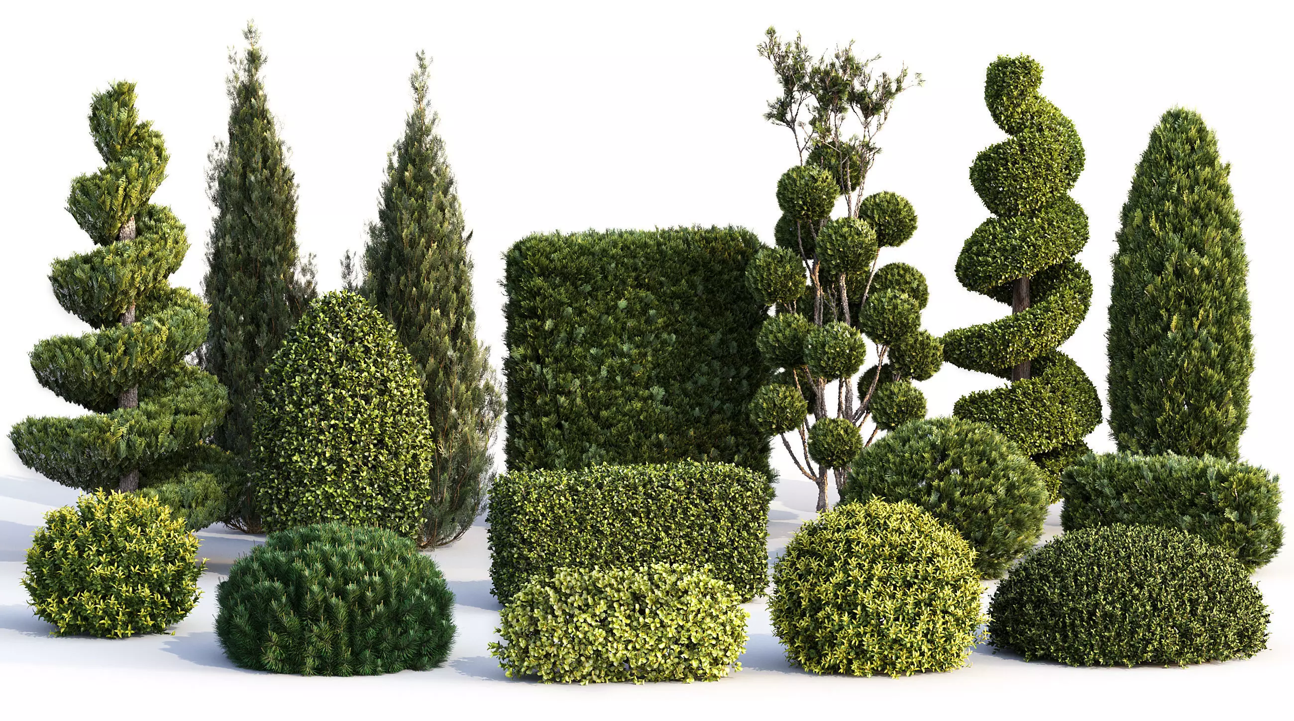16 Professional Topiary Plants for Landscape Gardening 3D model