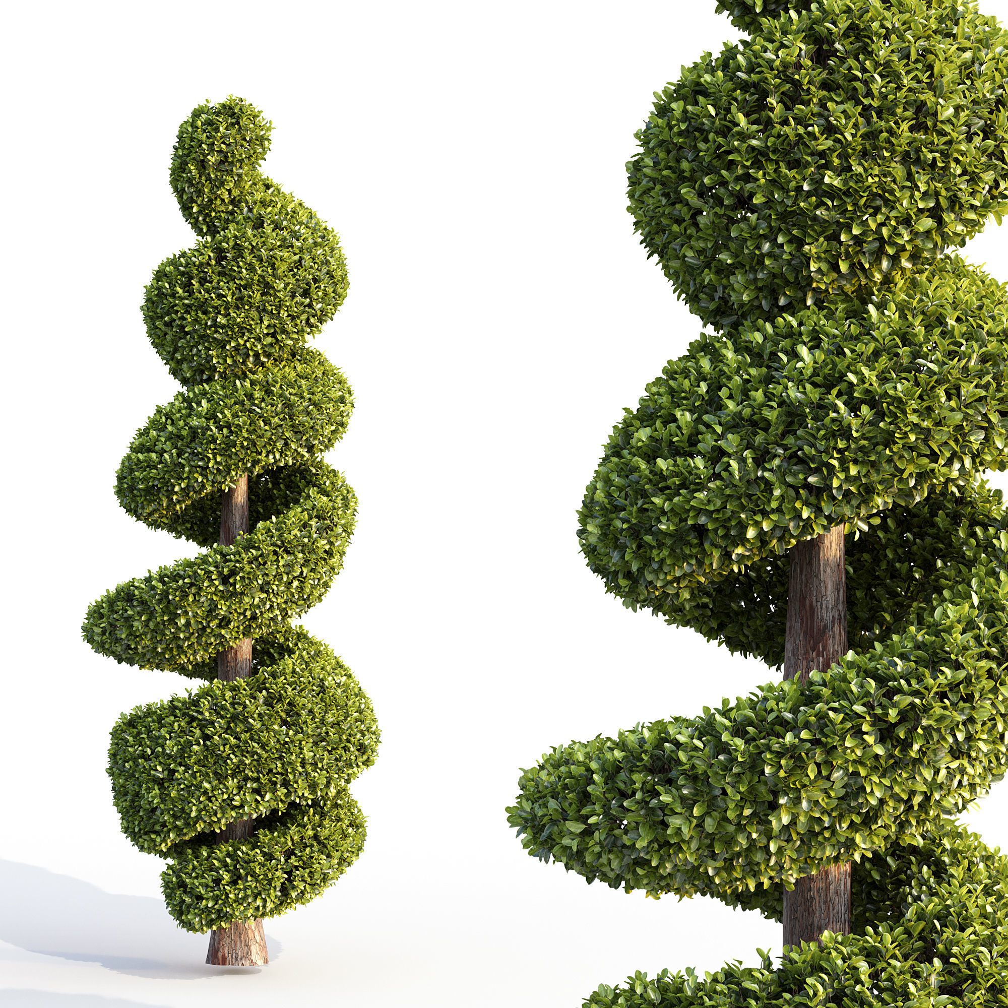 Bushes and Hedges Collection 3D model_3