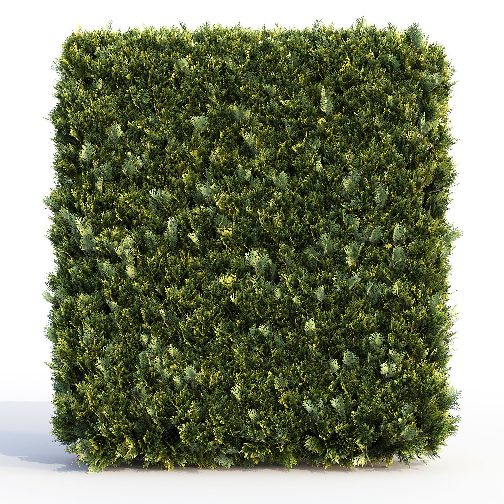 Bushes and Hedges Collection 3D model_11
