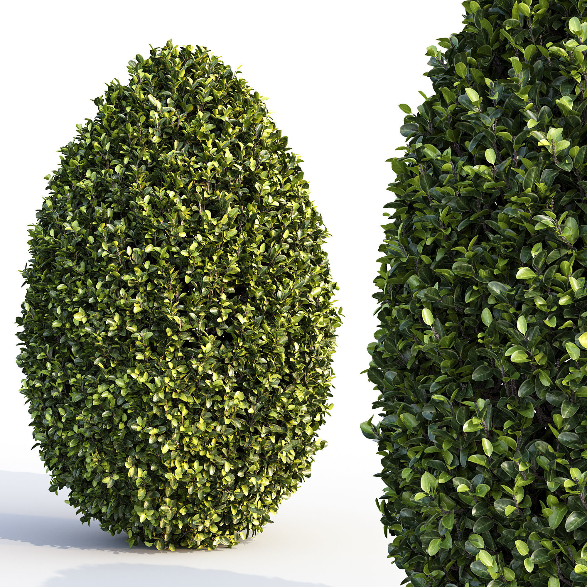 Bushes and Hedges Collection 3D model_9