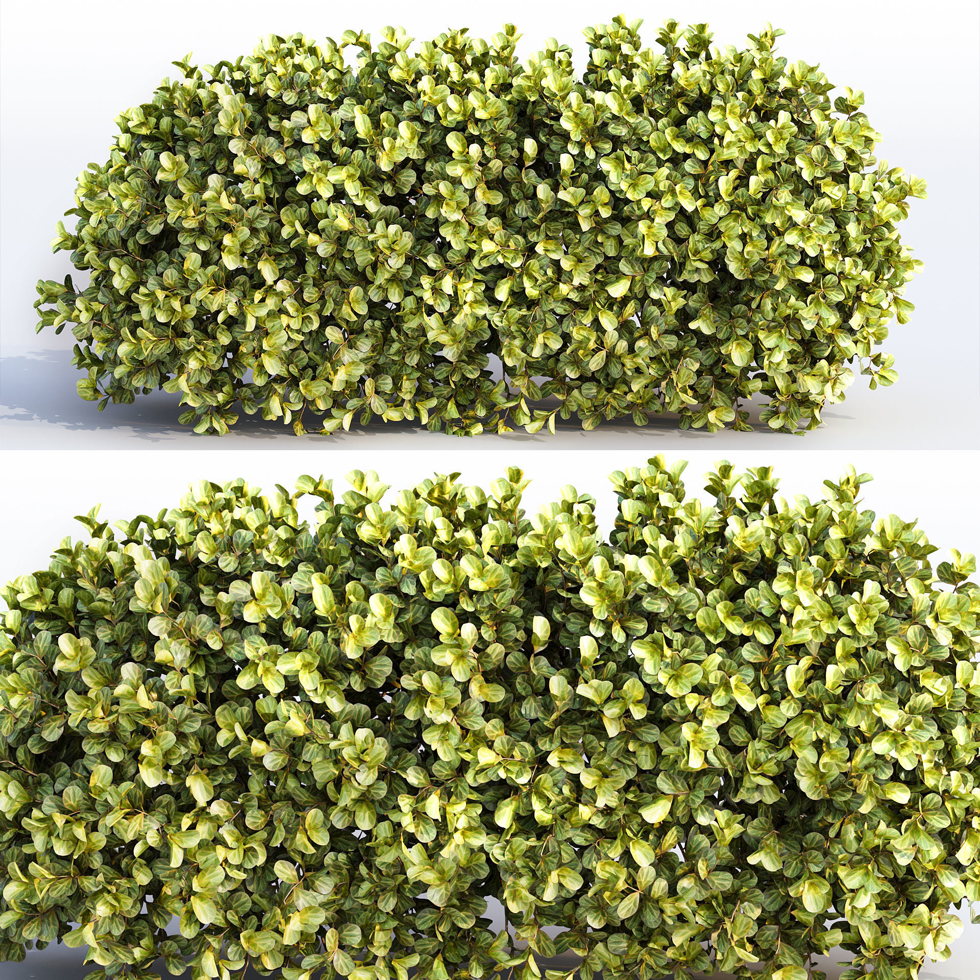Bushes and Hedges Collection 3D model_12