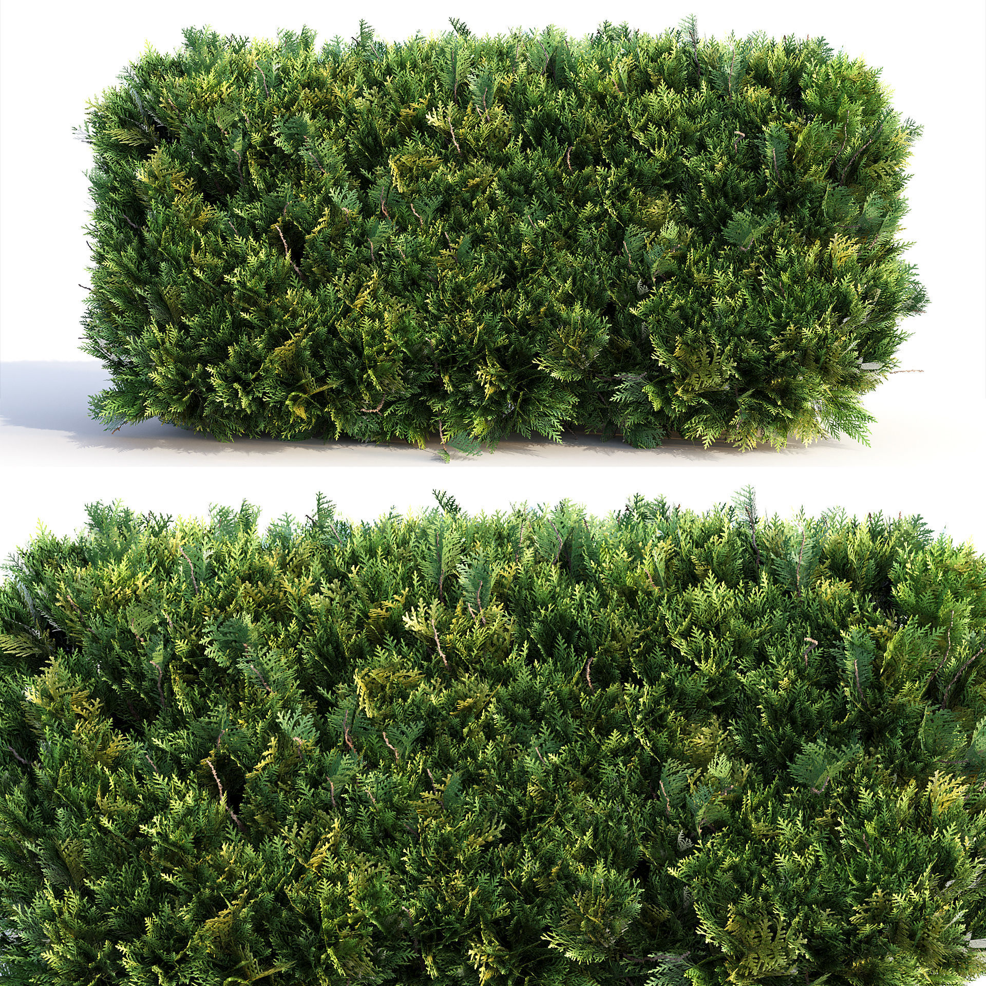 Bushes and Hedges Collection 3D model_13