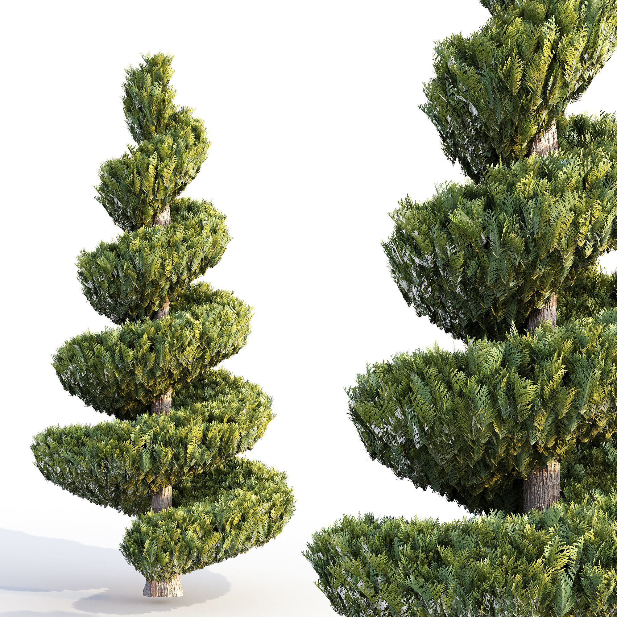 Bushes and Hedges Collection 3D model_4