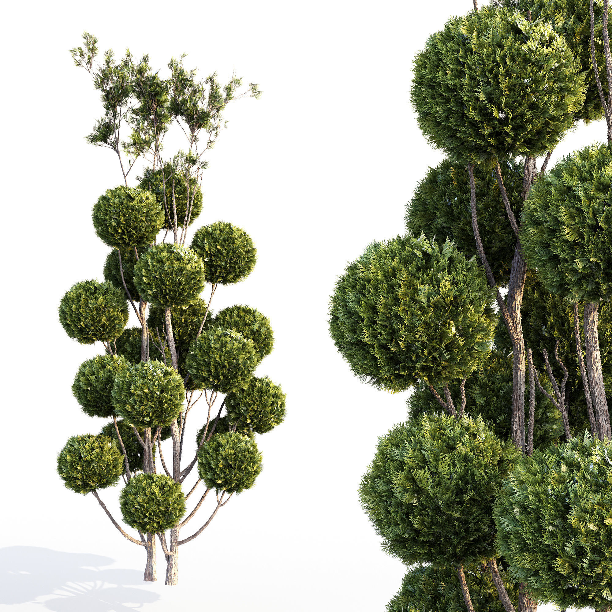 Bushes and Hedges Collection 3D model_2
