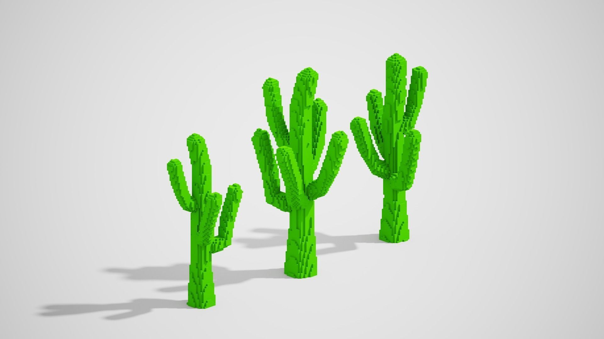 Isometric Cactus Set Low-poly 3D model_21