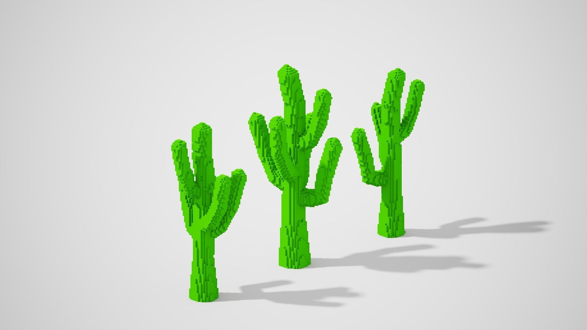 Isometric Cactus Set Low-poly 3D model_15