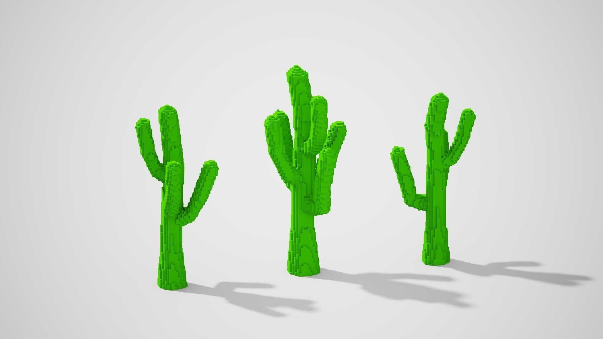 Isometric Cactus Set Low-poly 3D model_16