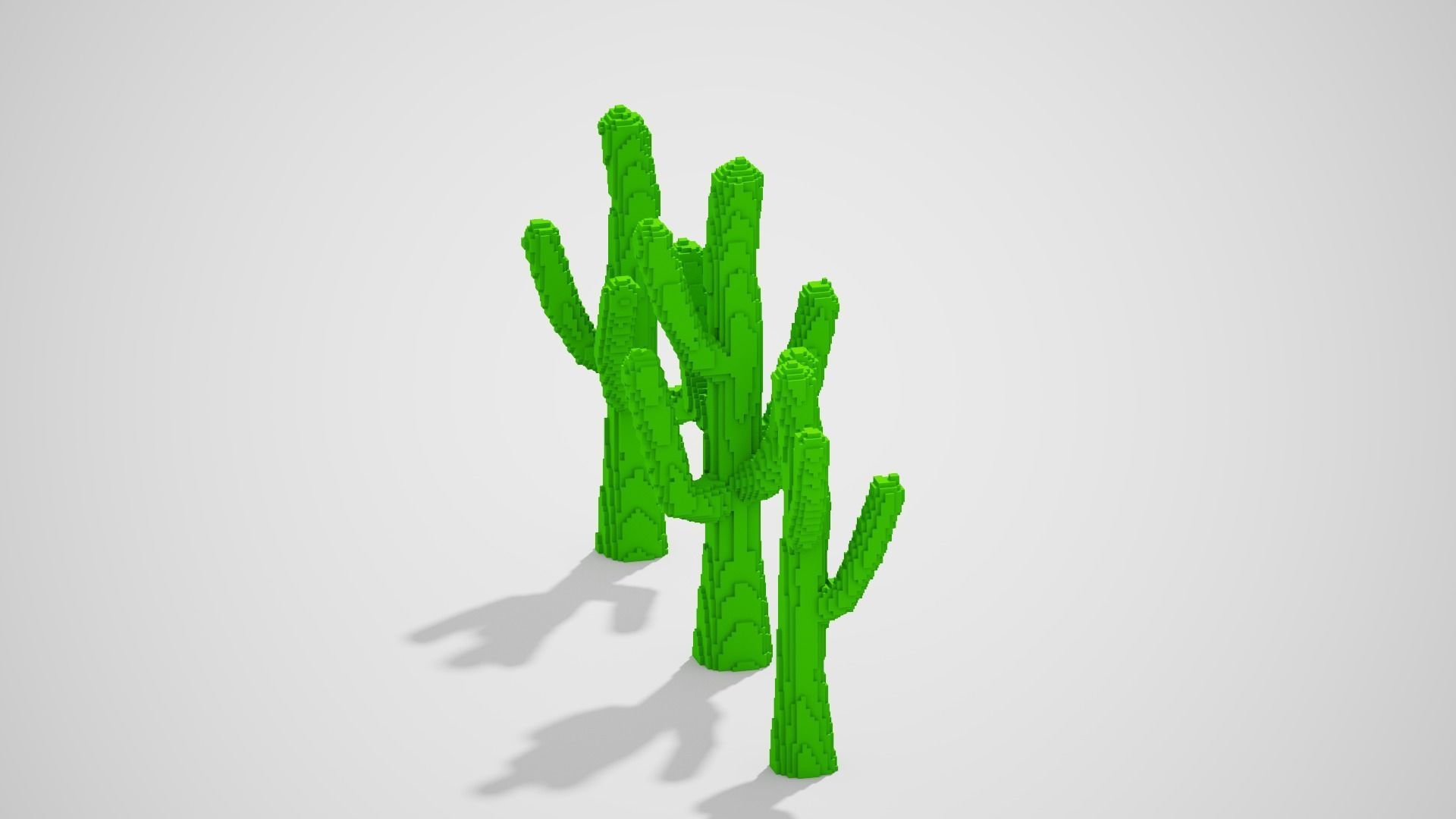 Isometric Cactus Set Low-poly 3D model_19