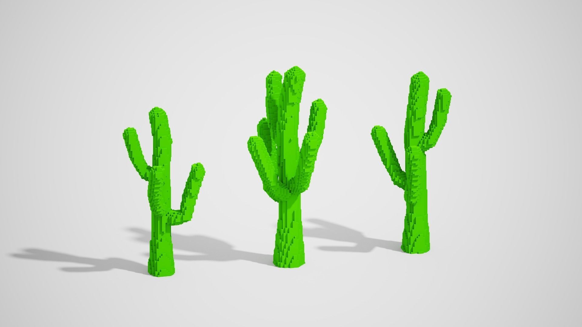 Isometric Cactus Set Low-poly 3D model_1