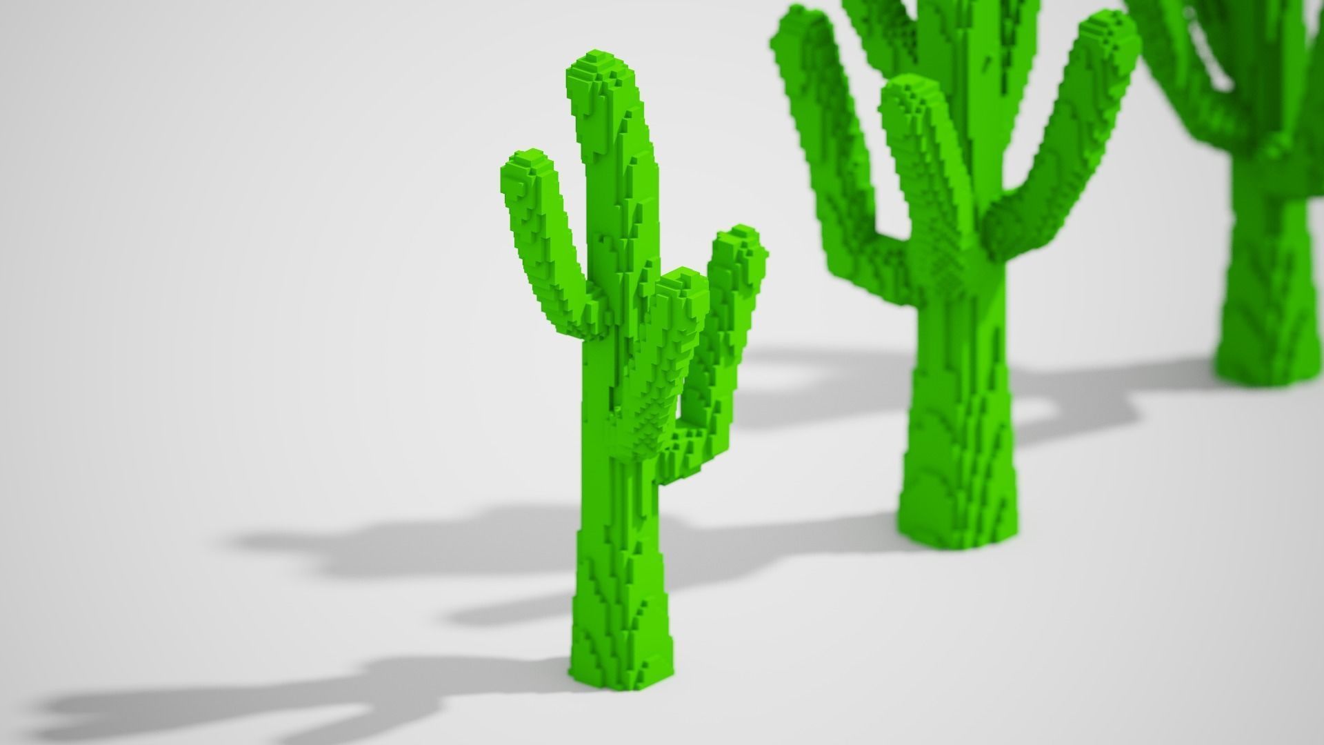 Isometric Cactus Set Low-poly 3D model_9