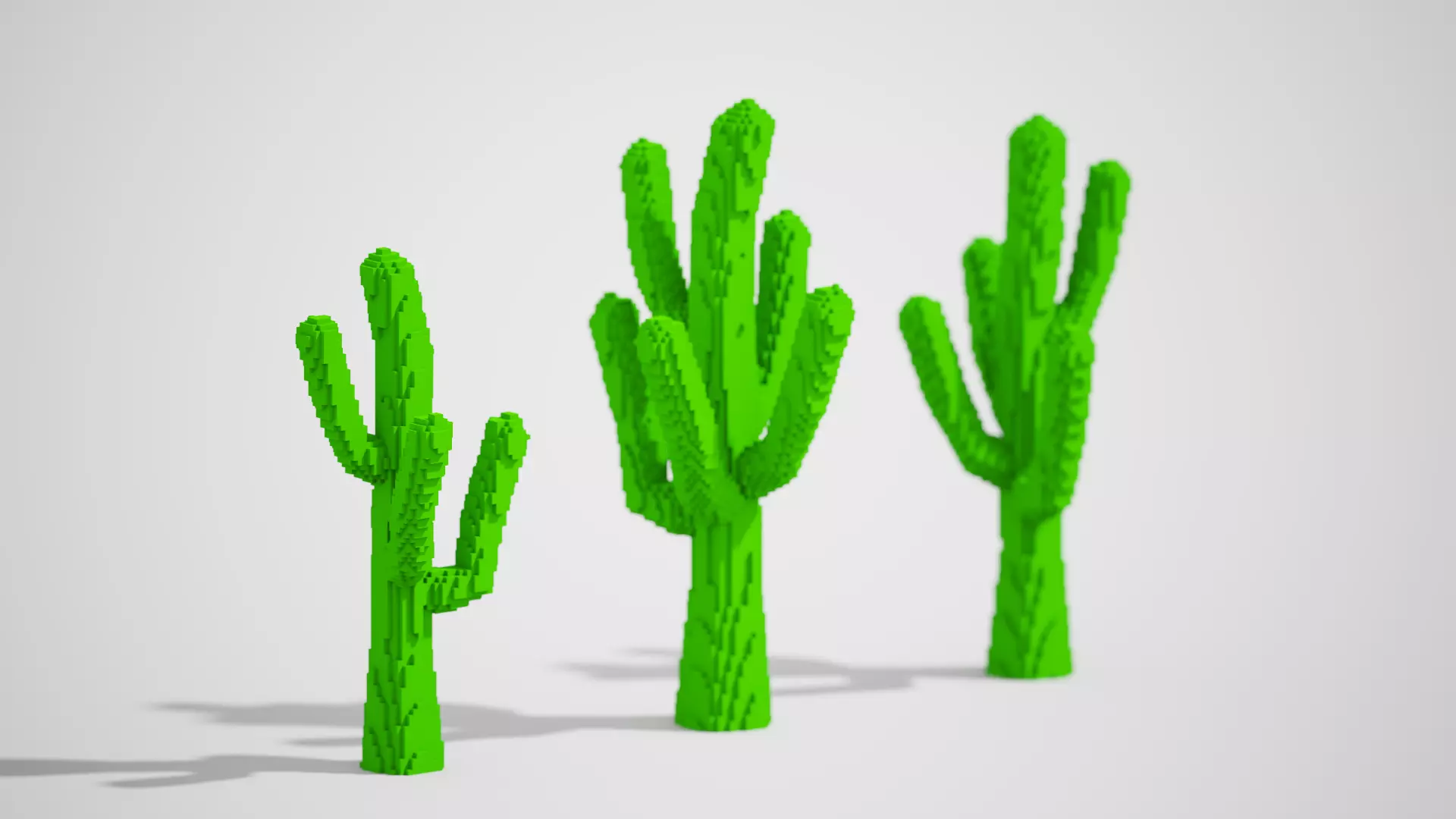 Isometric Cactus Set Low-poly 3D model_0