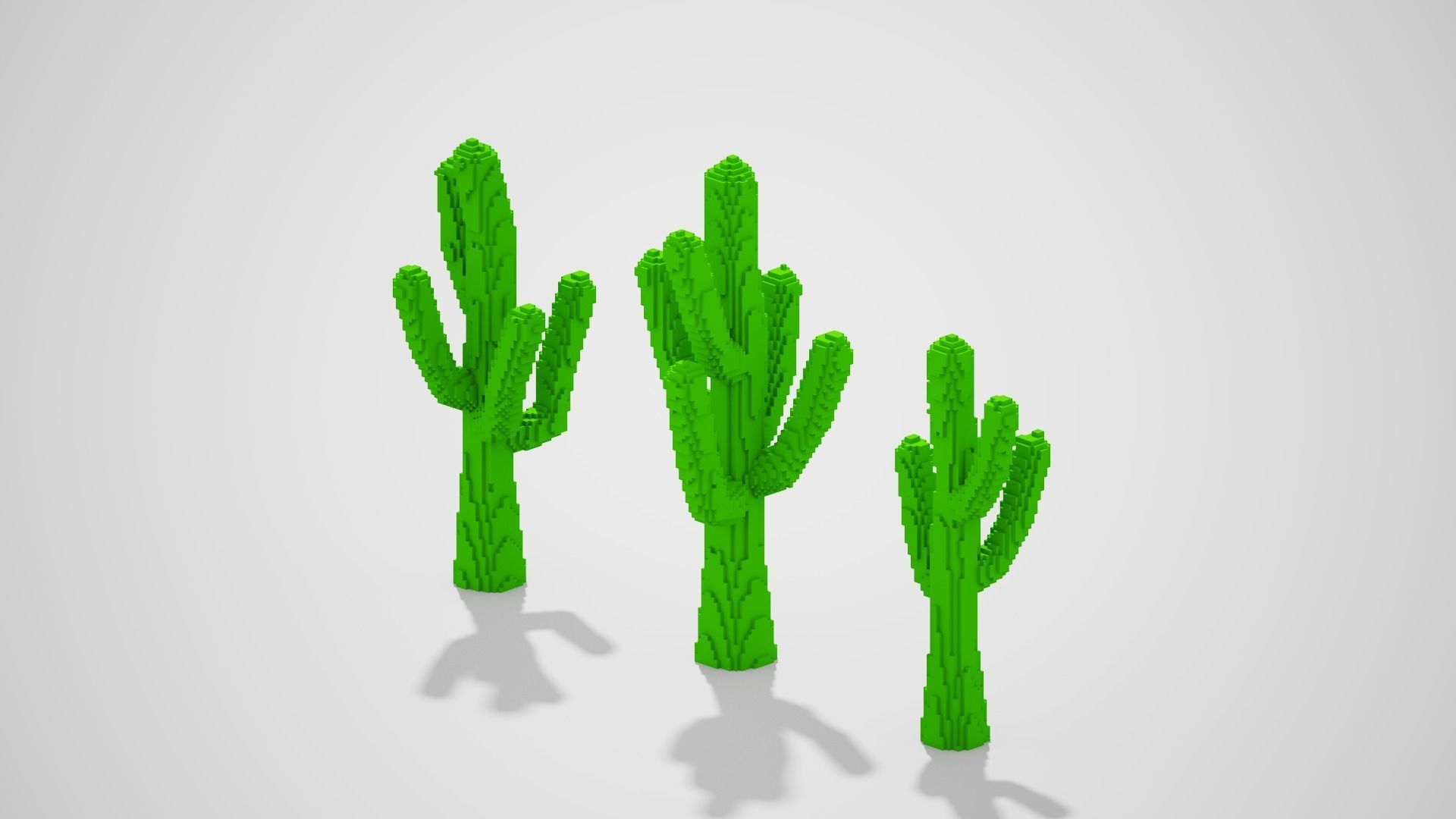 Isometric Cactus Set Low-poly 3D model_18