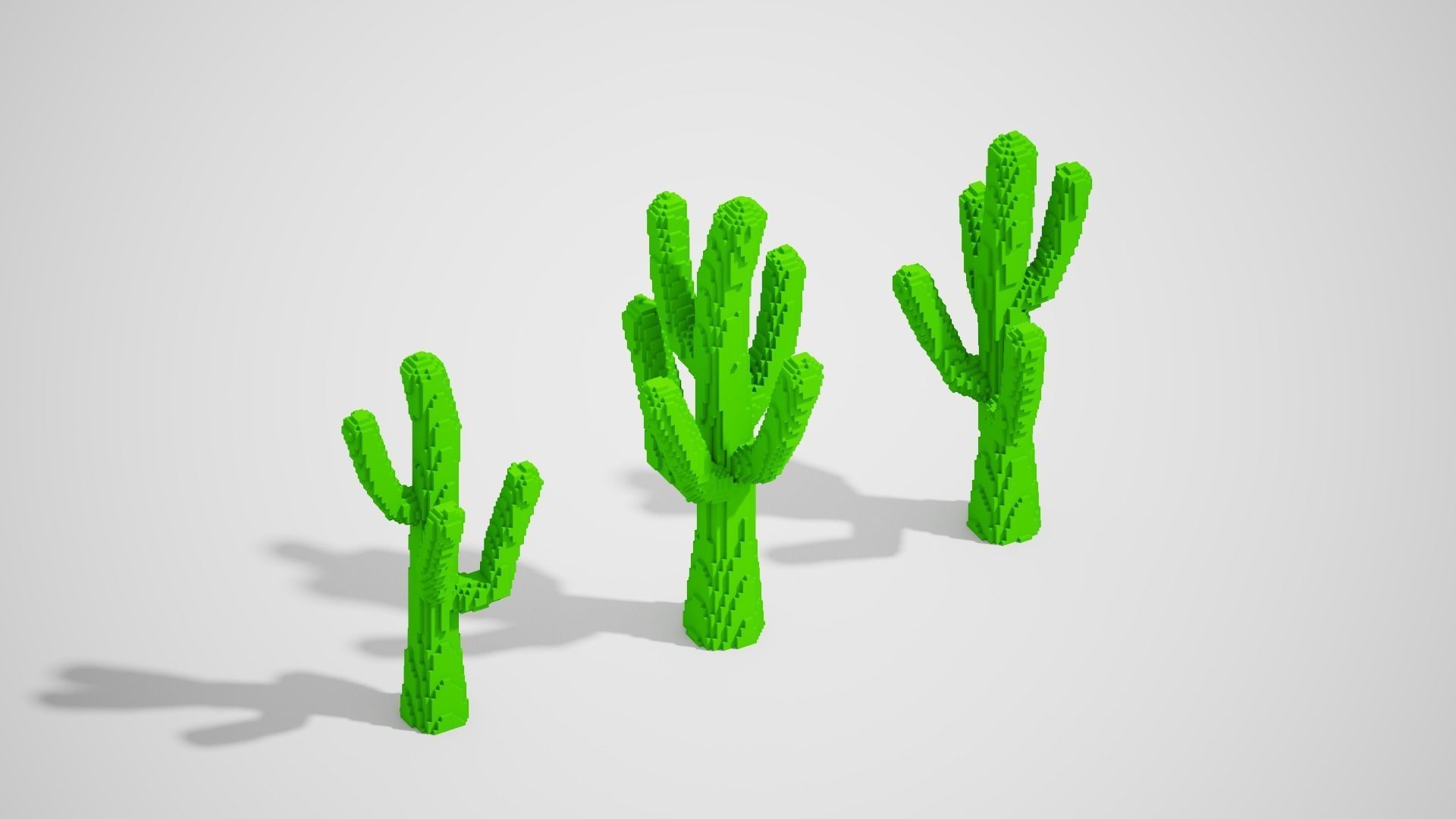 Isometric Cactus Set Low-poly 3D model_6