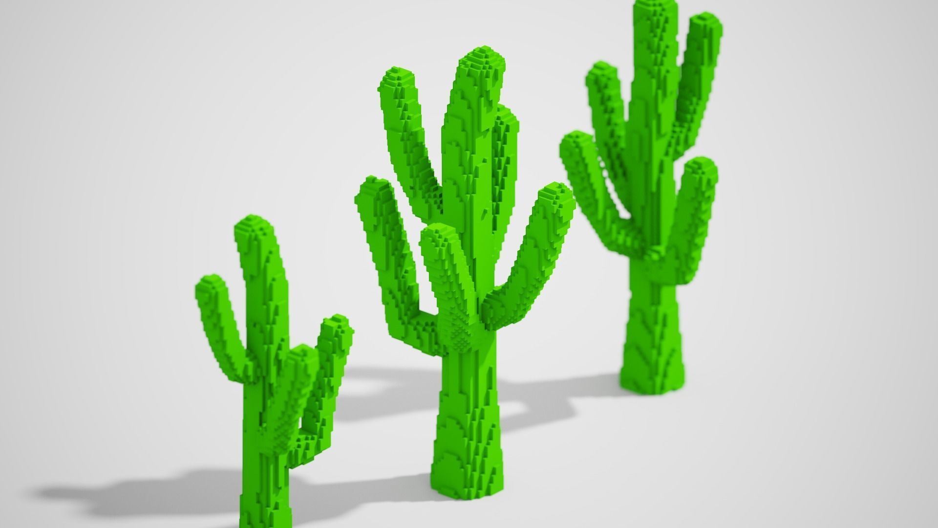 Isometric Cactus Set Low-poly 3D model_8