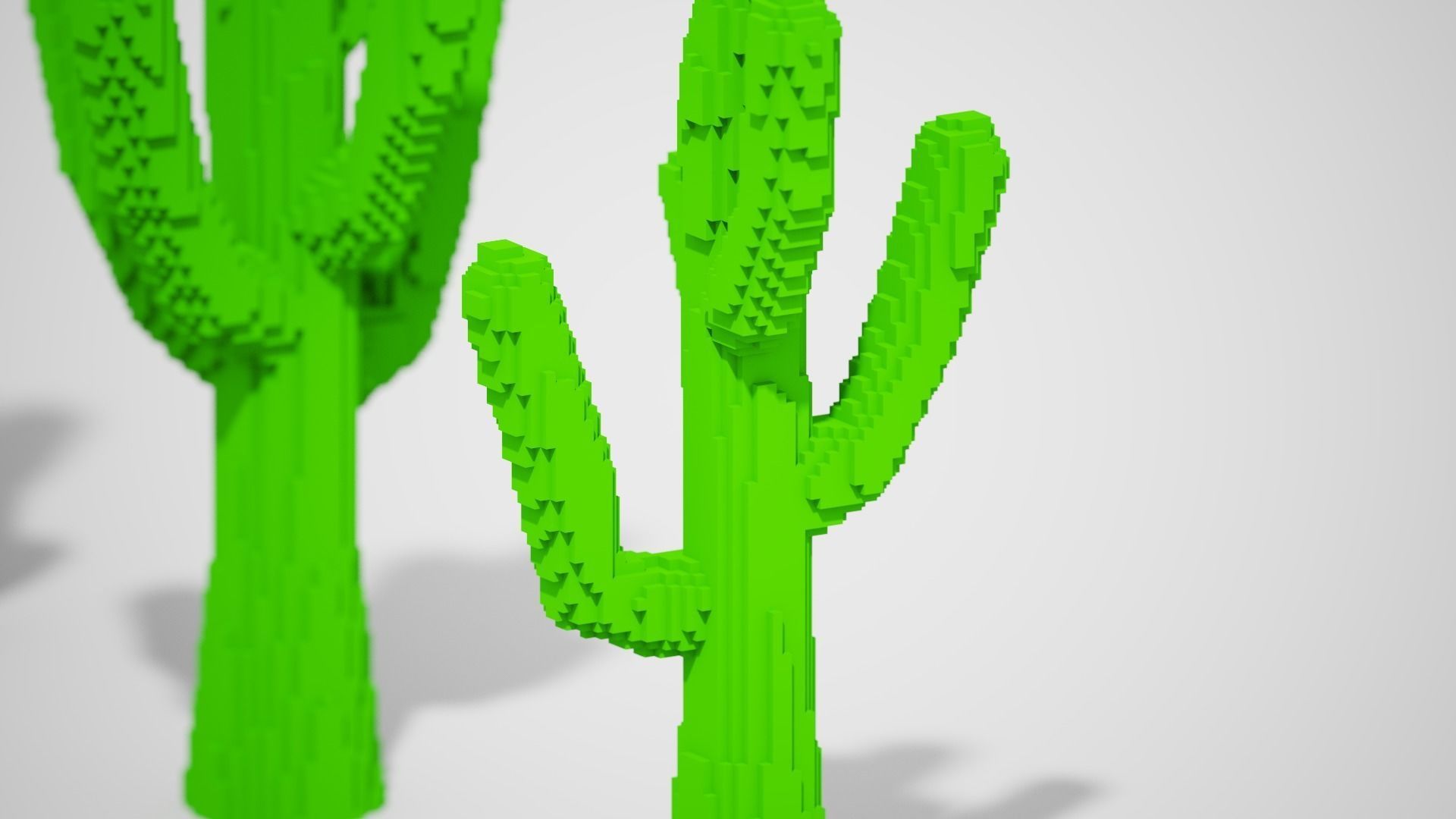 Isometric Cactus Set Low-poly 3D model_11