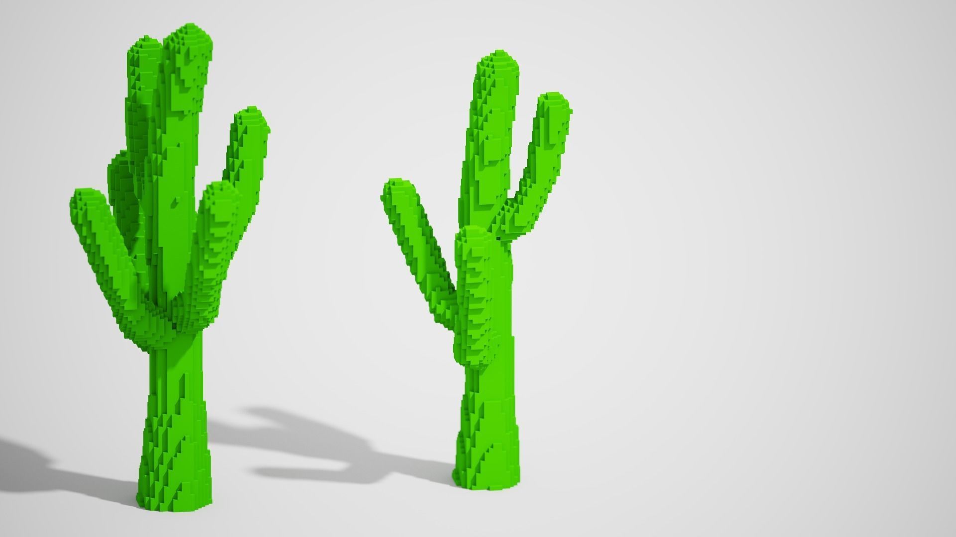 Isometric Cactus Set Low-poly 3D model_10