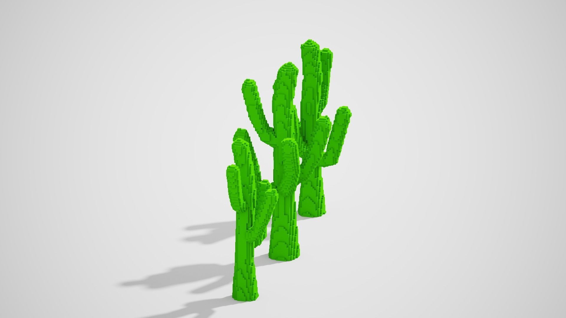 Isometric Cactus Set Low-poly 3D model_20