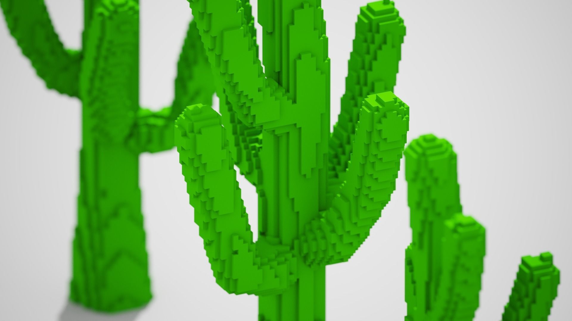 Isometric Cactus Set Low-poly 3D model_3
