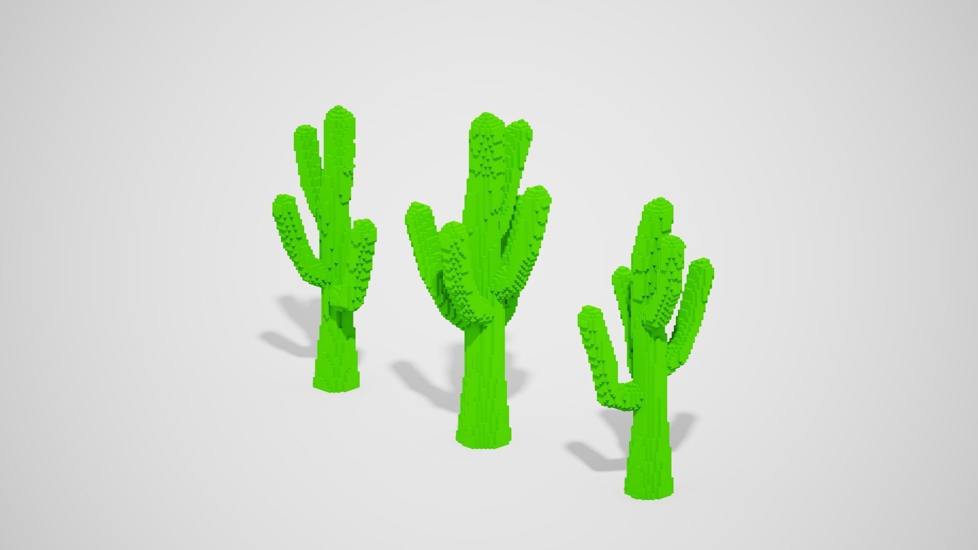 Isometric Cactus Set Low-poly 3D model_12