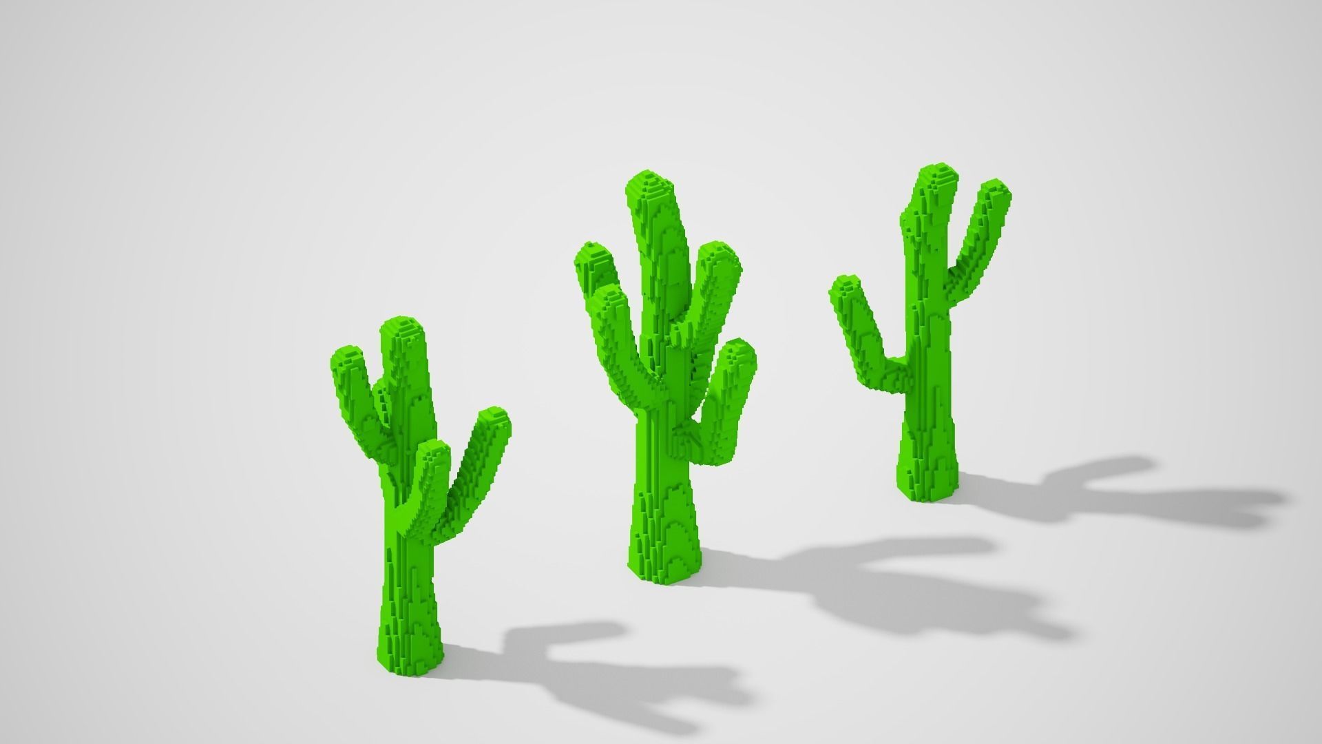 Isometric Cactus Set Low-poly 3D model_7