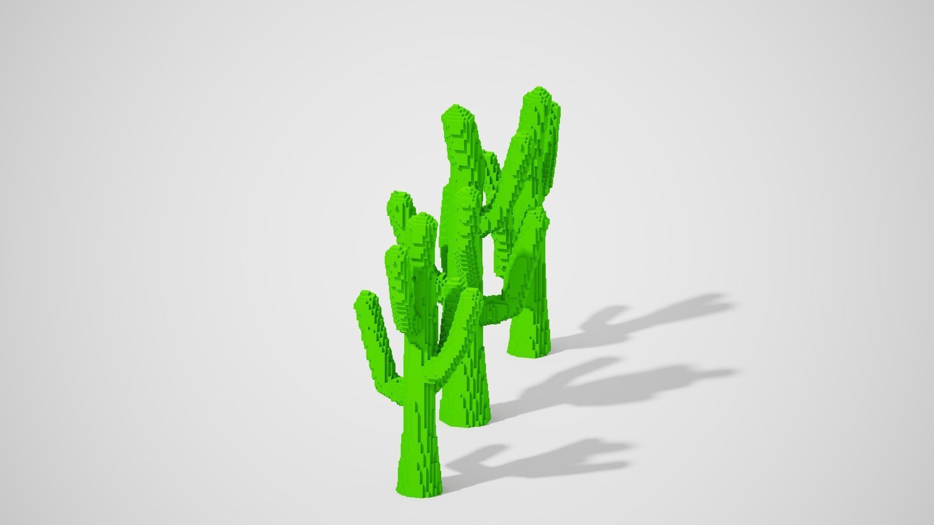 Isometric Cactus Set Low-poly 3D model_14
