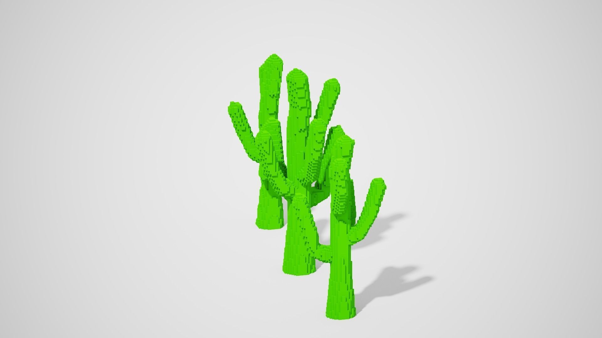 Isometric Cactus Set Low-poly 3D model_13