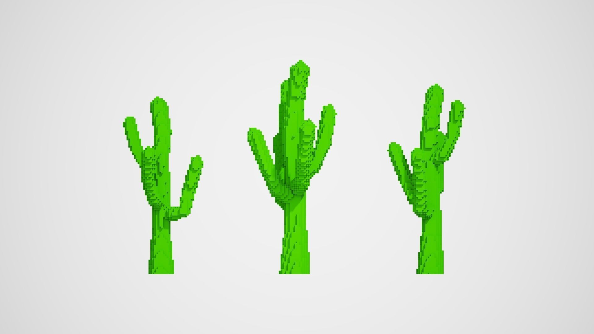 Isometric Cactus Set Low-poly 3D model_4