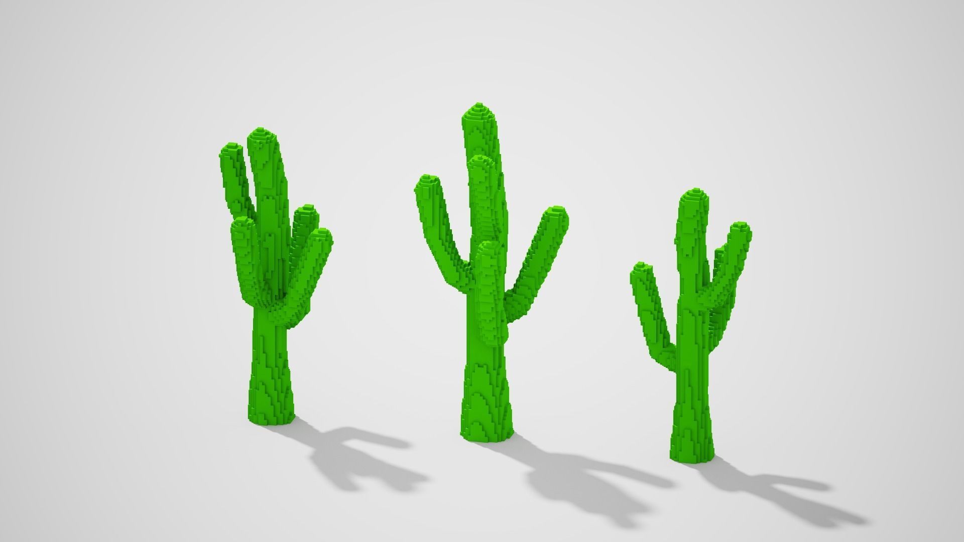 Isometric Cactus Set Low-poly 3D model_17