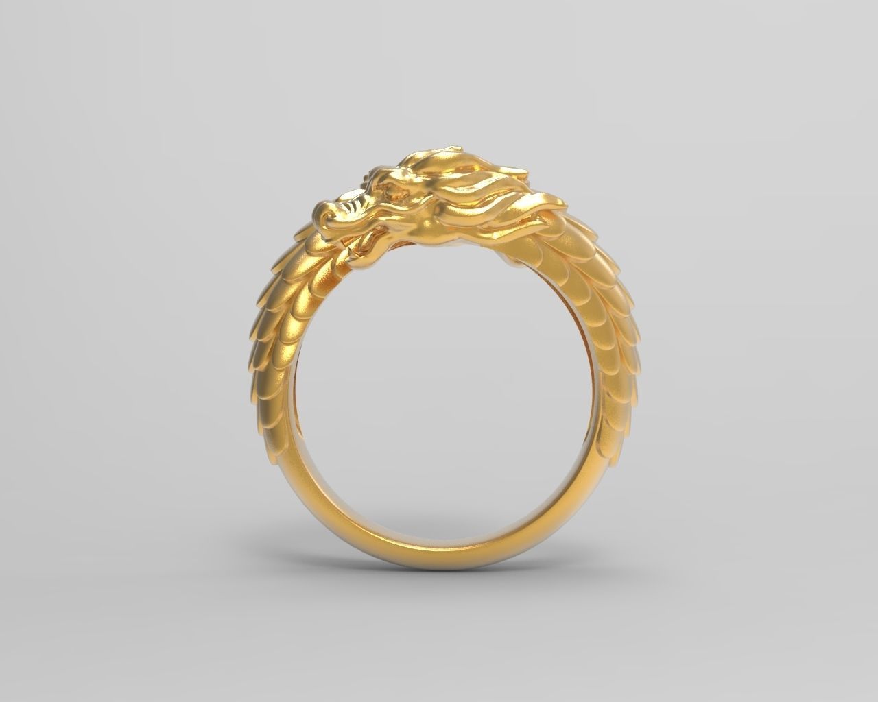 R 124 ring  3D print model_6