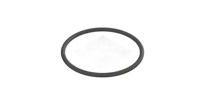 O Ring Vedabras 12587