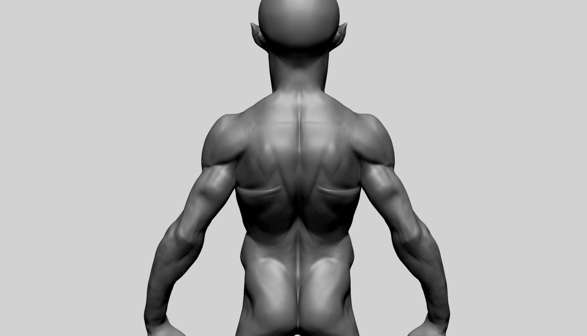 Base Creature Body B 3D model_8