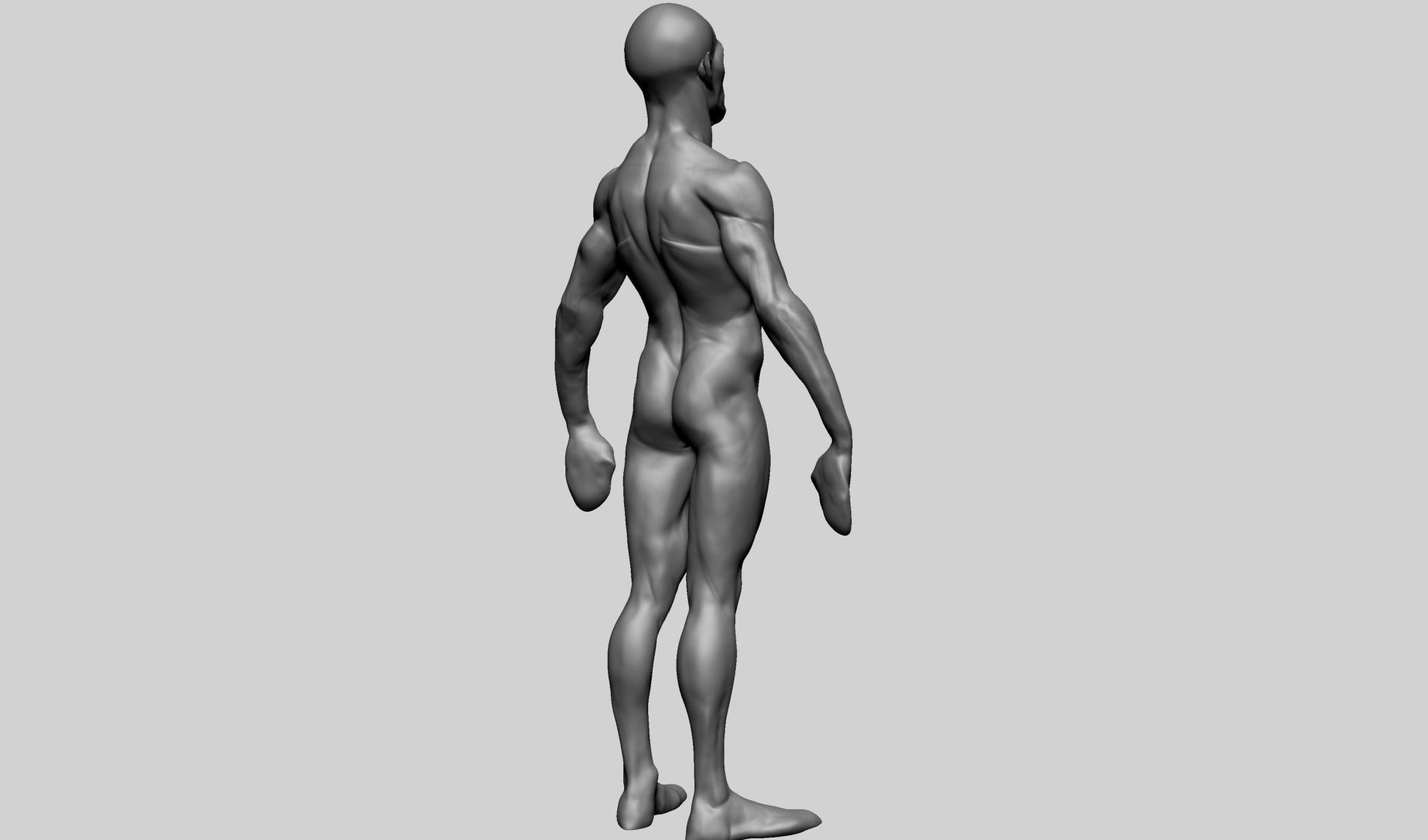 Base Creature Body B 3D model_4