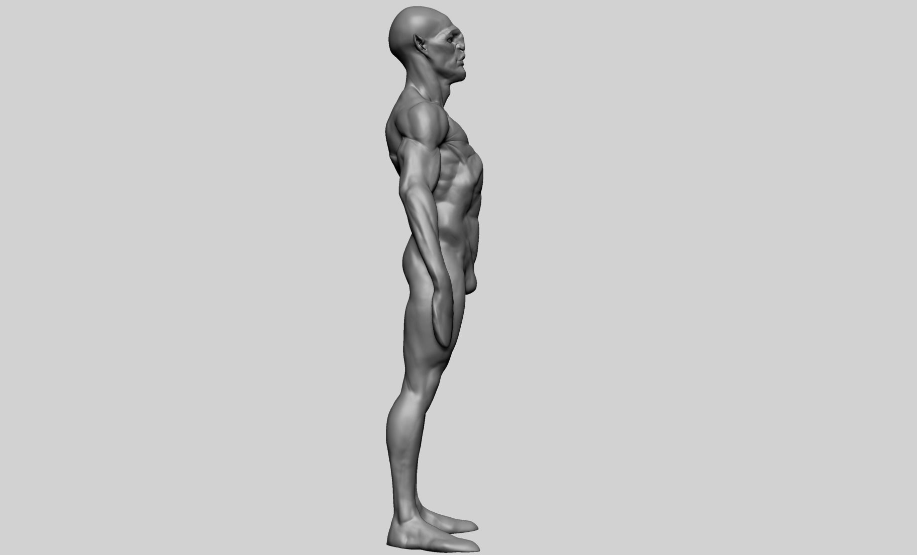 Base Creature Body B 3D model_3