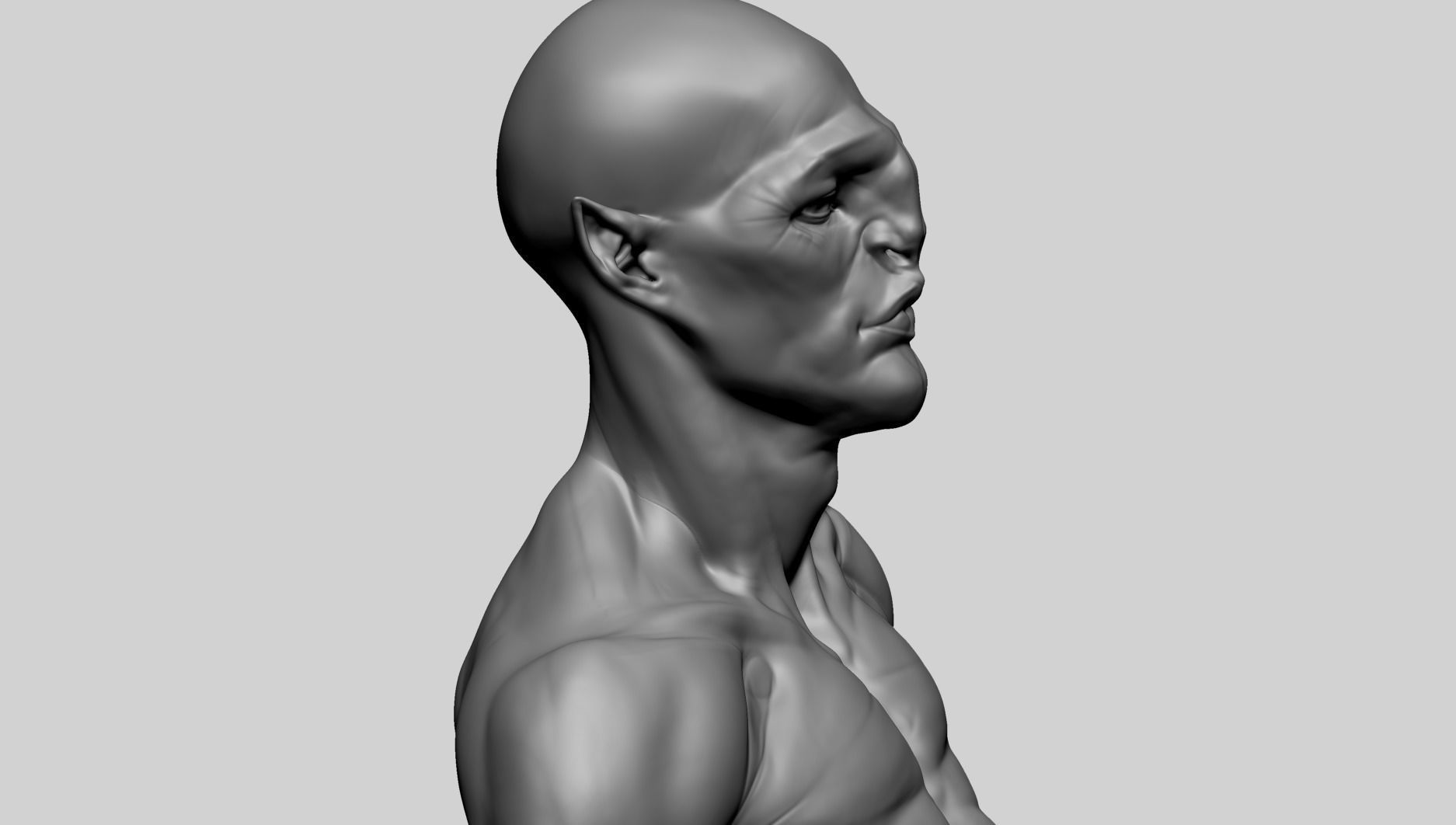 Base Creature Body B 3D model_11