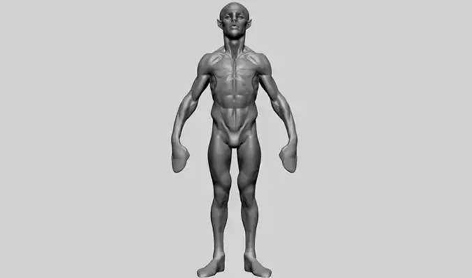 Base Creature Body B 3D model Base Creature Body B 3D model