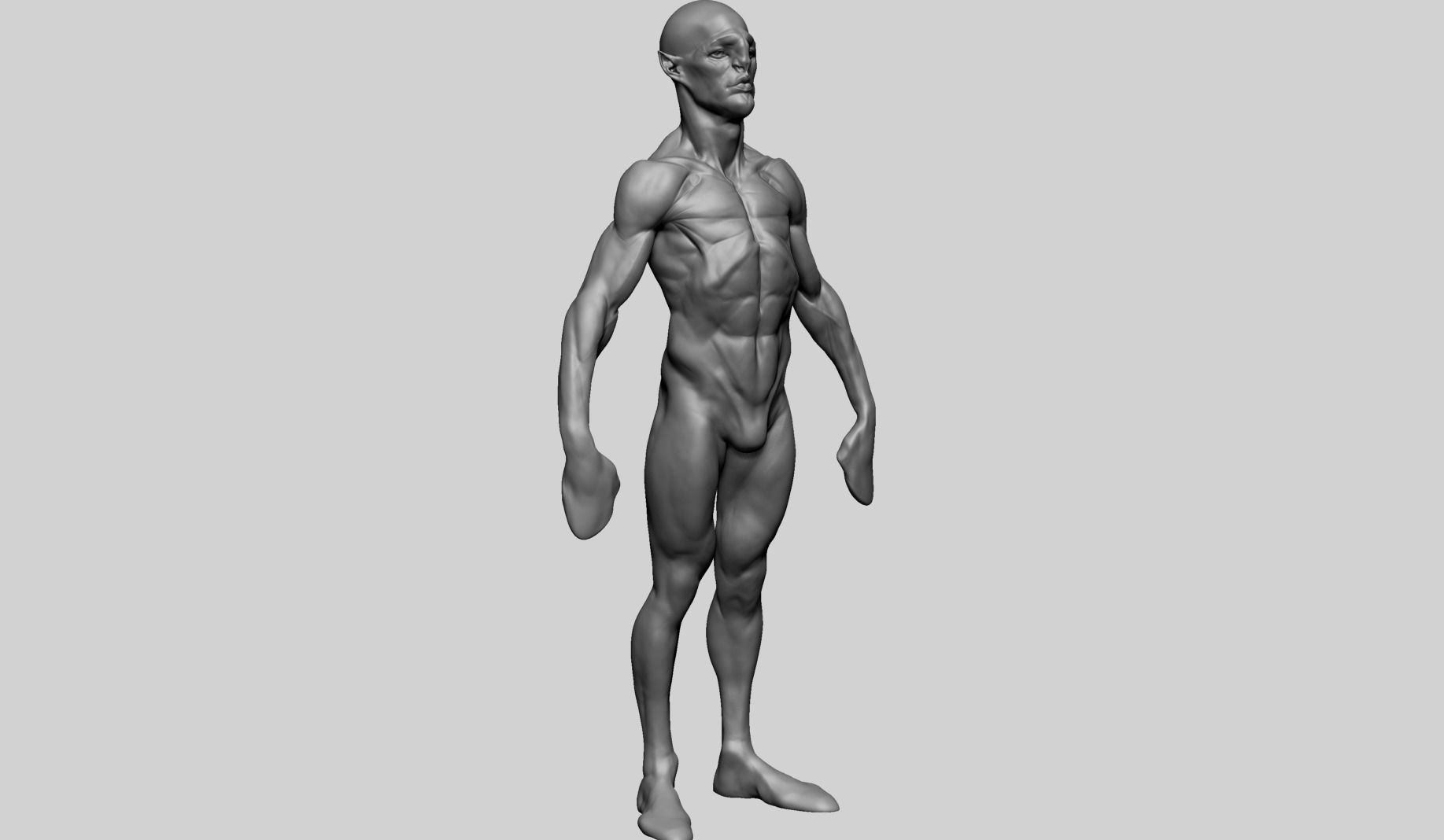 Base Creature Body B 3D model_2