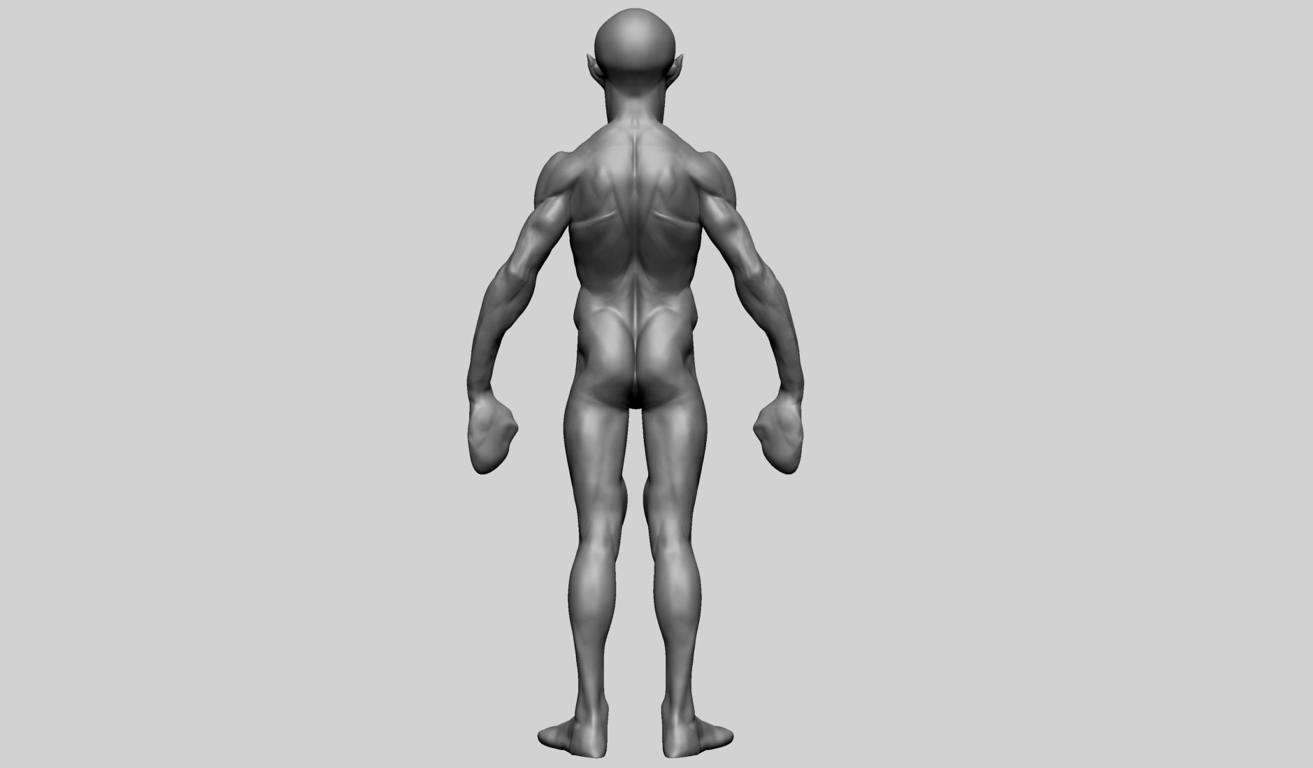 Base Creature Body B 3D model_1