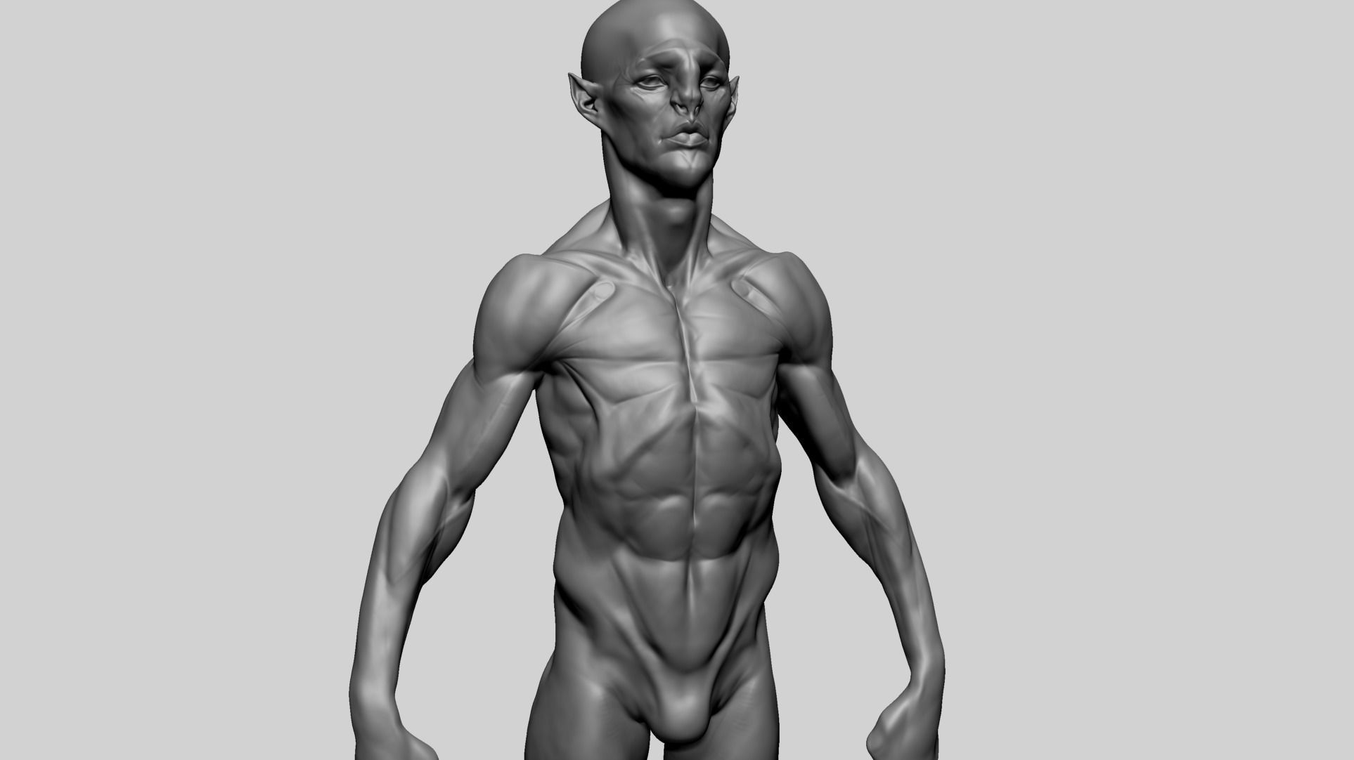 Base Creature Body B 3D model_9