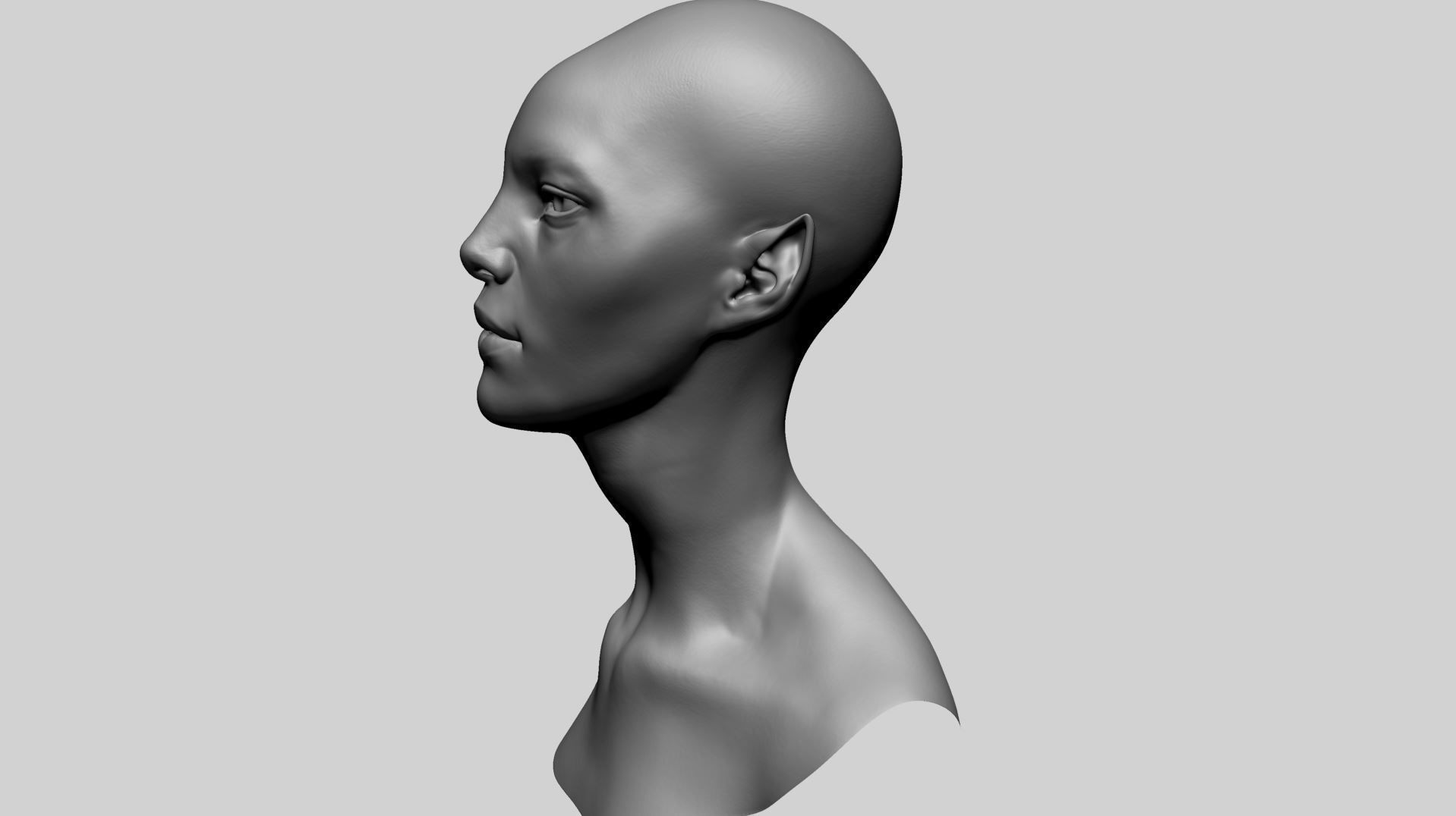 Fantasy Female Head A1 3D model_6